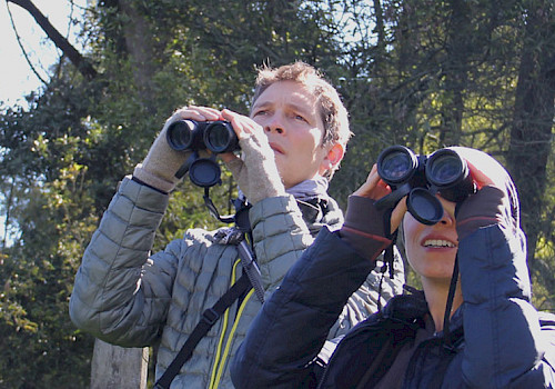 Colombia Birding Tours