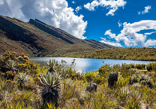 Chingaza Natural Park