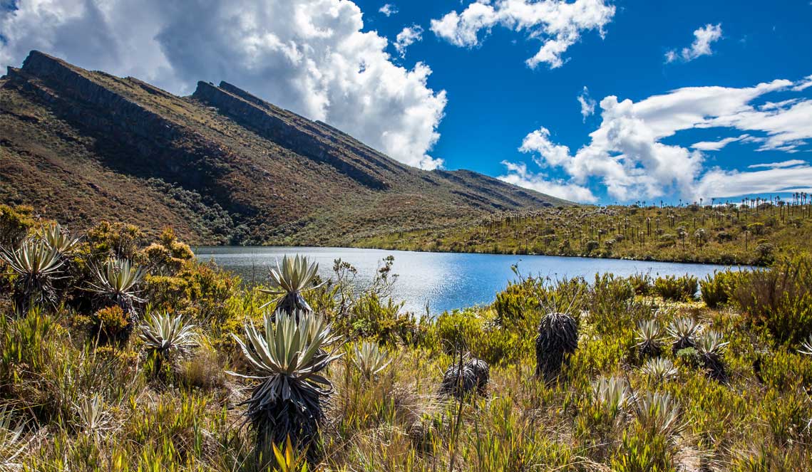 Chingaza Natural Park