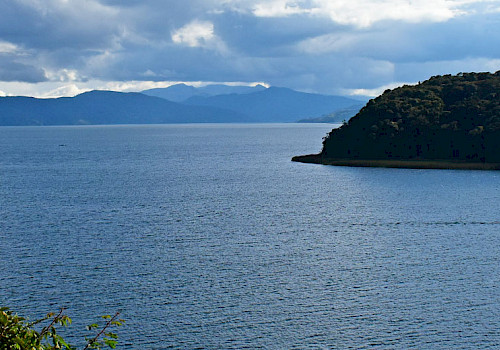 Colombia Birding - Nariño