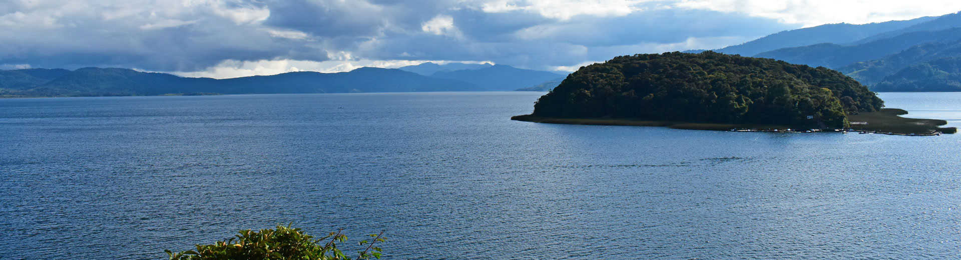 Colombia Birding - Nariño