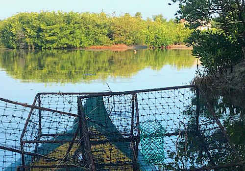 La Boquilla Tour - Cartagena