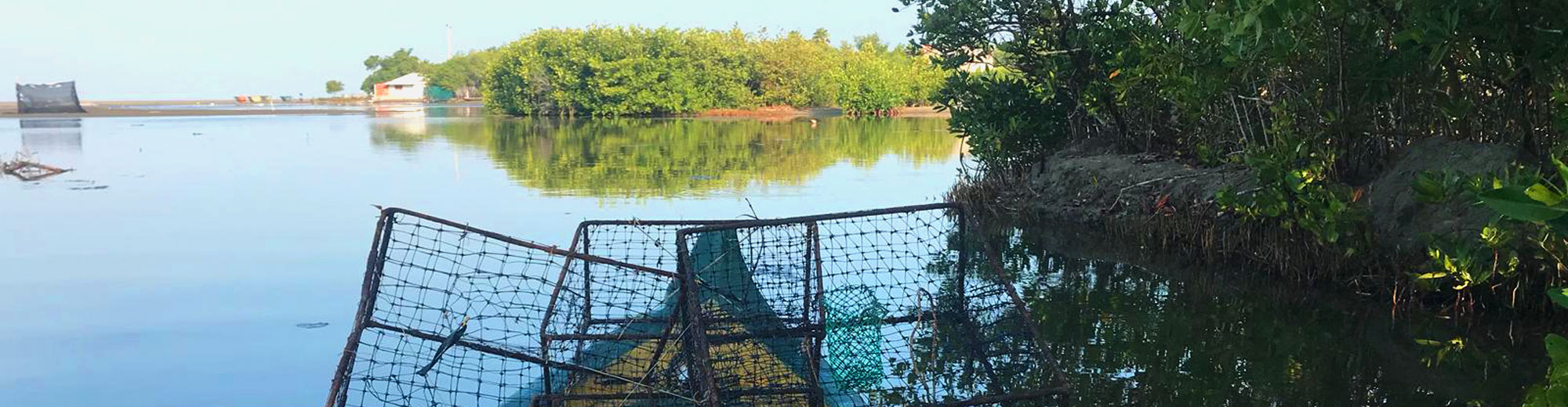 La Boquilla Tour - Cartagena
