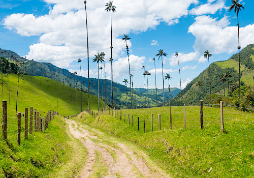 Uncover Colombia Tours - Wildlife and Nature