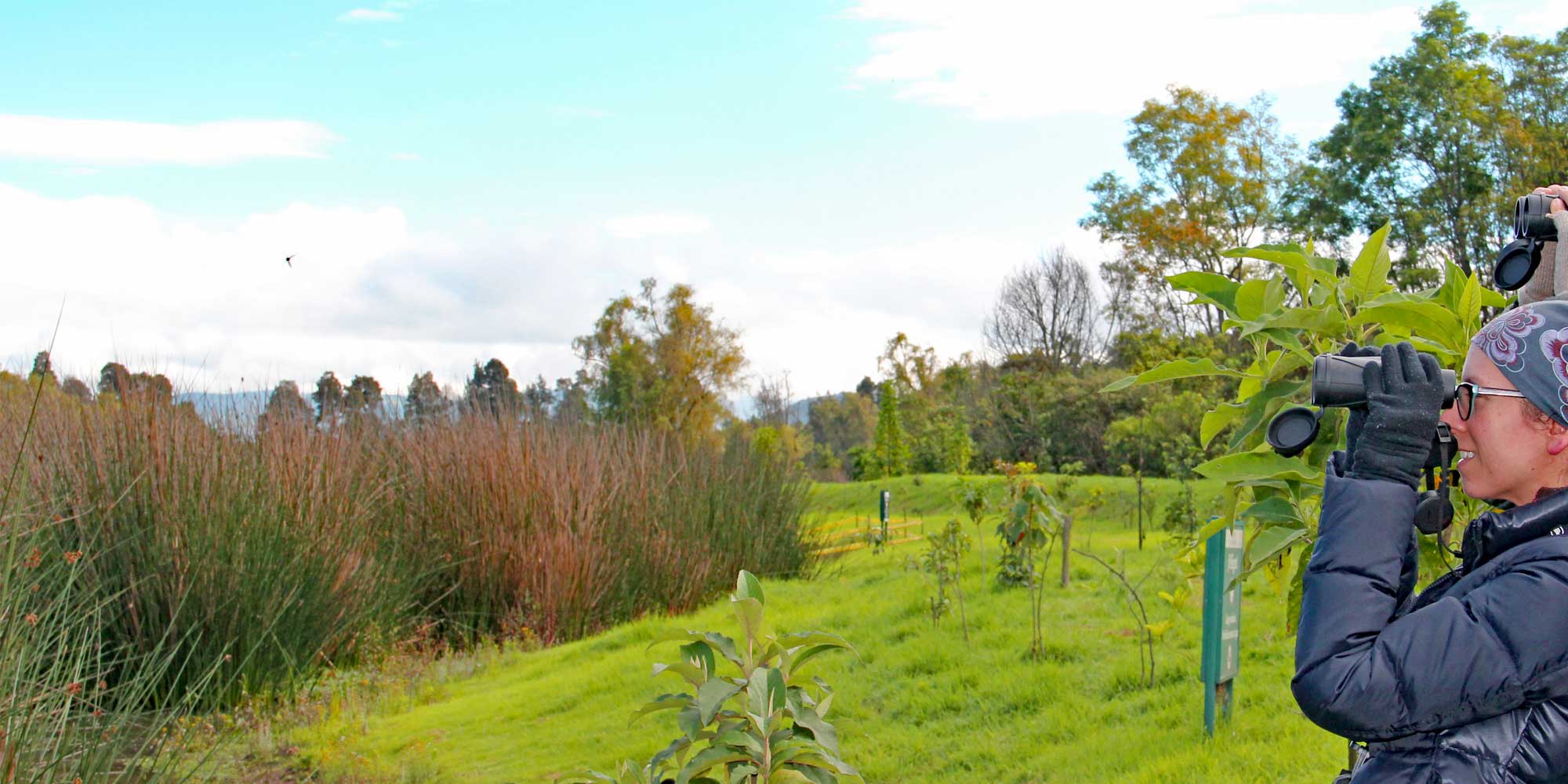 Bogota Birding Day Tour