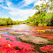 Tour di Caño Cristales