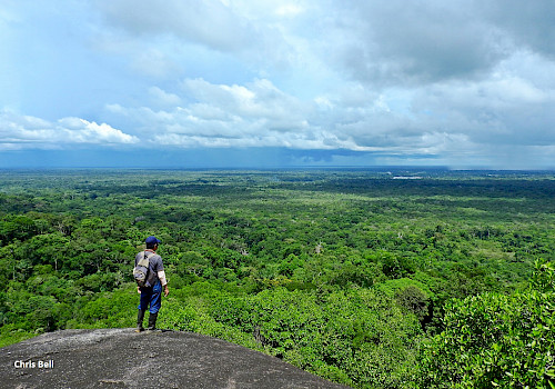 Birding-Mitu-Colombia