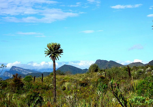 Chingaza Natural Park
