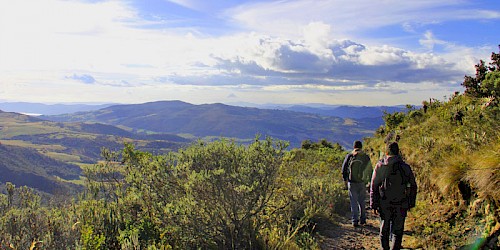 Colombia Birding Tour Chingaza
