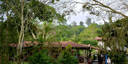 Birding in Tinamu Reserve