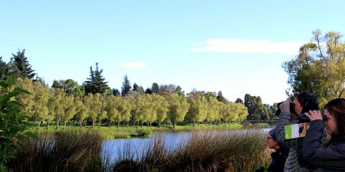 Colombia Birding Tour in Bogota