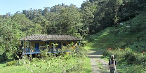 Colombia Birding Tour