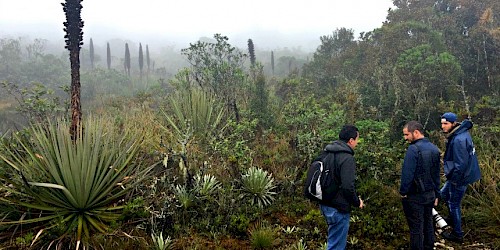 Colombia Bird Watching