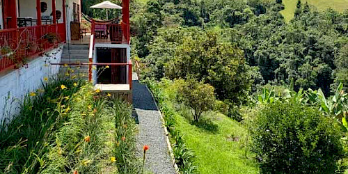 Birding in Paraiso Verde