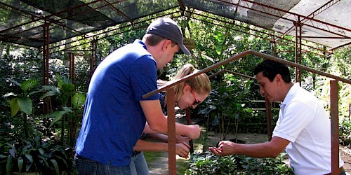 Colombia Birding Tour