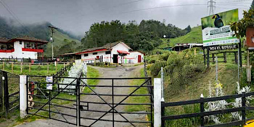 Birding in Hacienda El Bosque