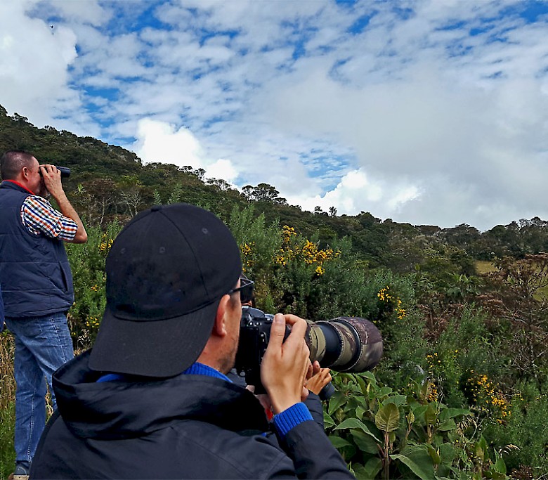 Colombia Birding Trip