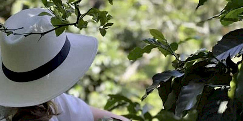 Bogota Choachi Coffee Farm Tour