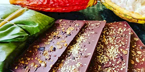 Cacao Farm Medellin Tour