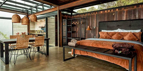 Termales del Ruiz - Birding