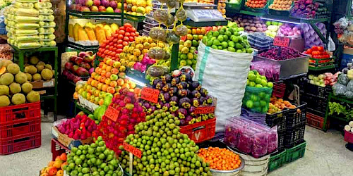 Plaza Minorista Food Tour