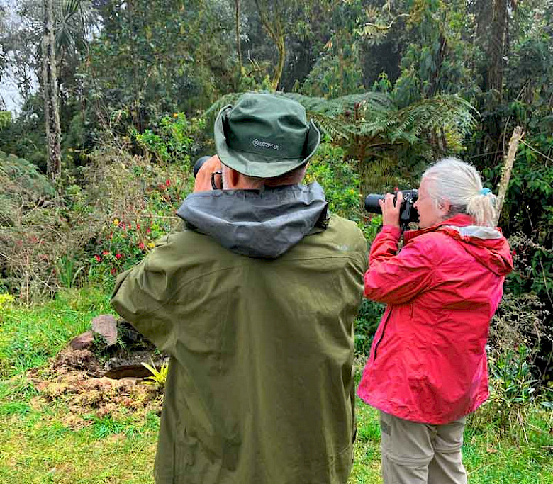 Colombia Cauca Valley Birding Tour