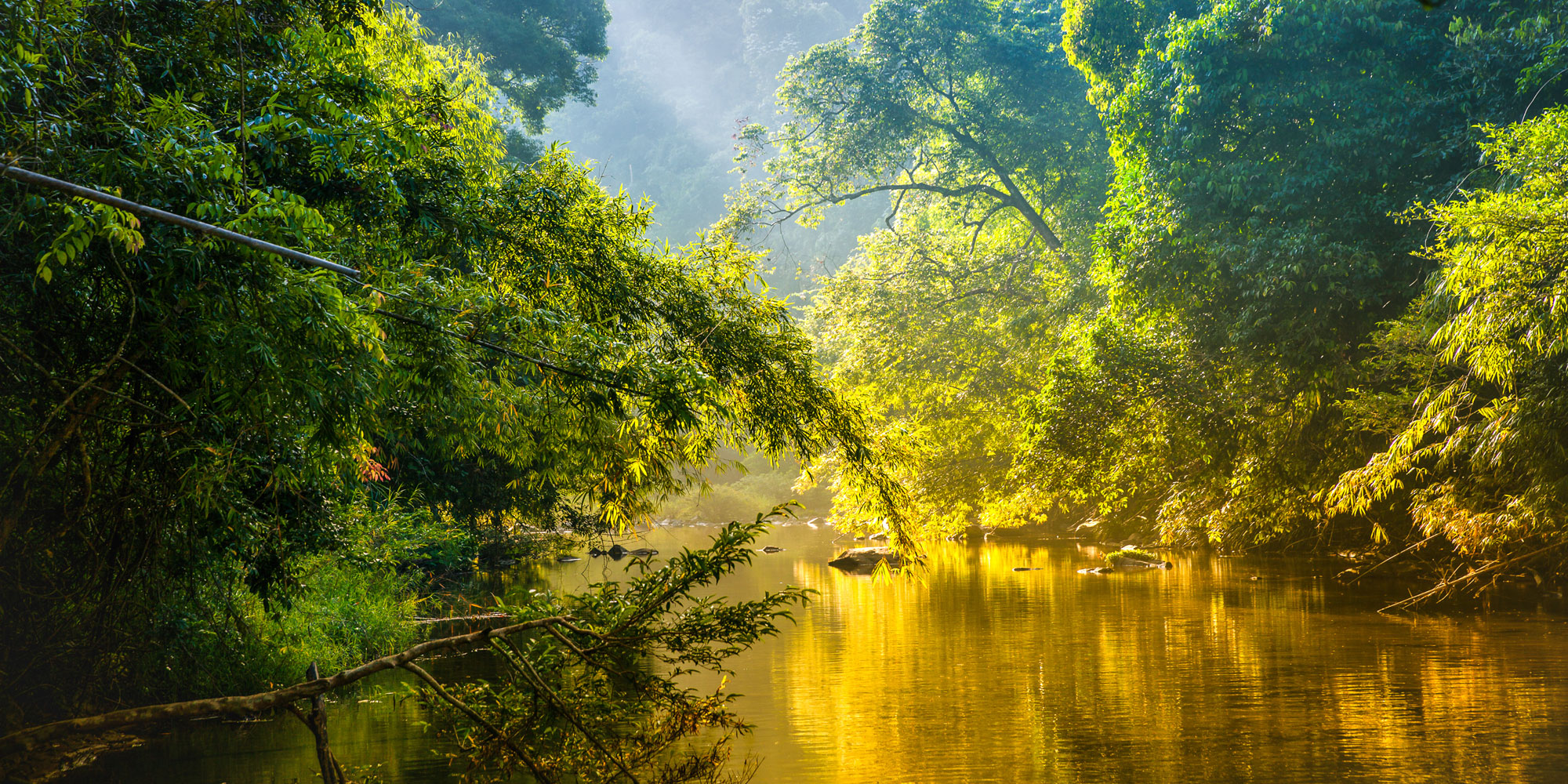 Birding Colombian Amazon