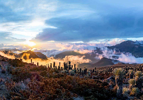 Colombia Parque los Nevados