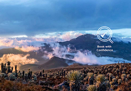 Uncover Colombia Tours - Book with confidence