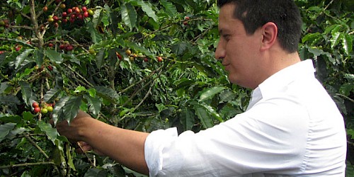 Colombia Coffee Region Tour