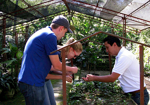 Bogota tours - Coffee farm