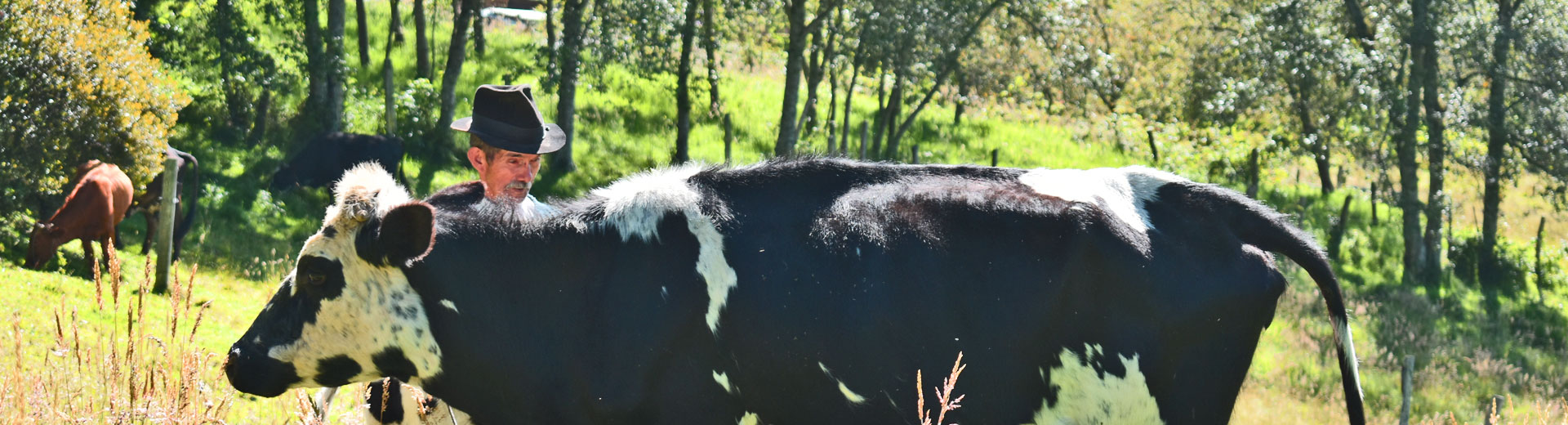 Colombia Community-Based Tour