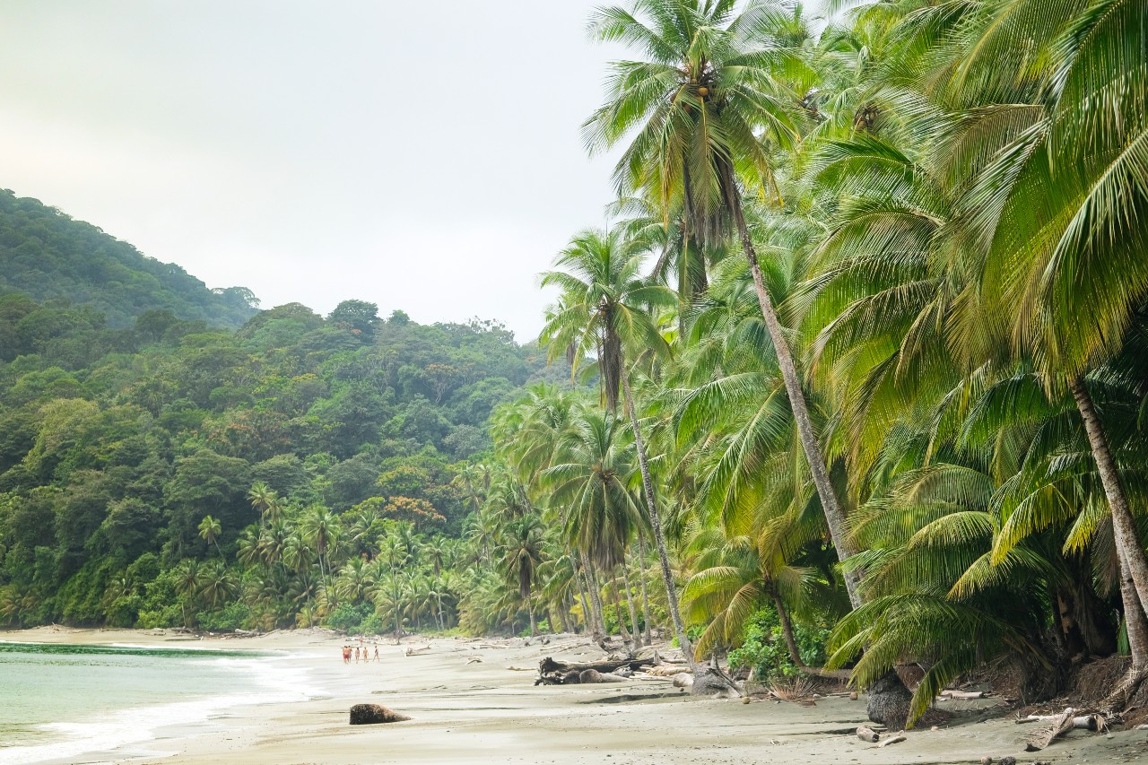 Gorgona A Natural Paradise In The Colombian Pacific Uncover Colombia