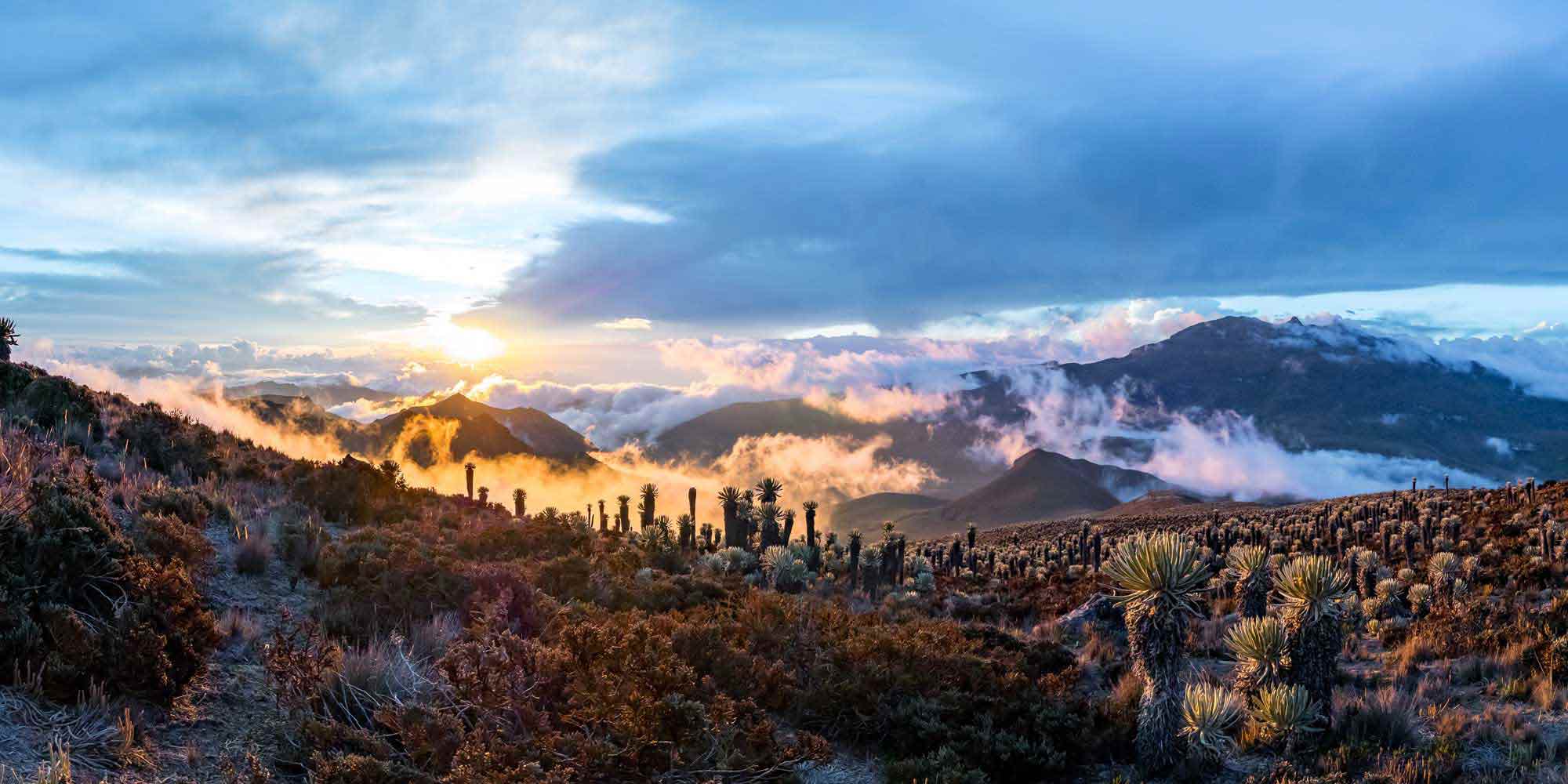 Colombia Parque los Nevados