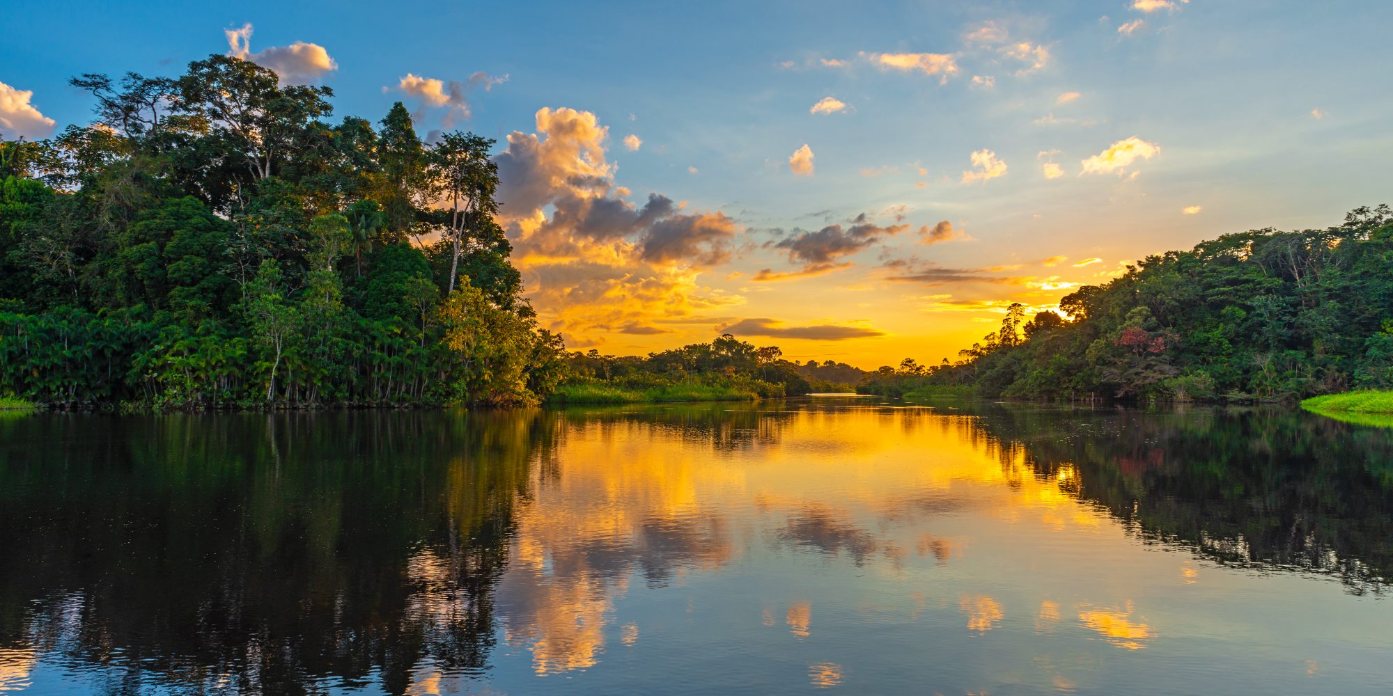 Colombia Amazon Tour Wildlife Tours Uncover Colombia Uncover Colombia