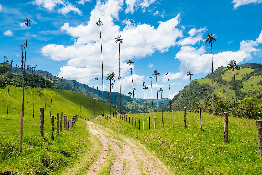 Colombia A Country Of Mountains Beaches Jungles And More Uncover 