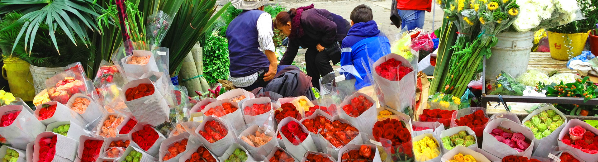 Bogota Tours - Paloquemao Market