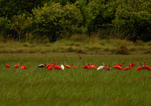 Eastern Region, Colombia