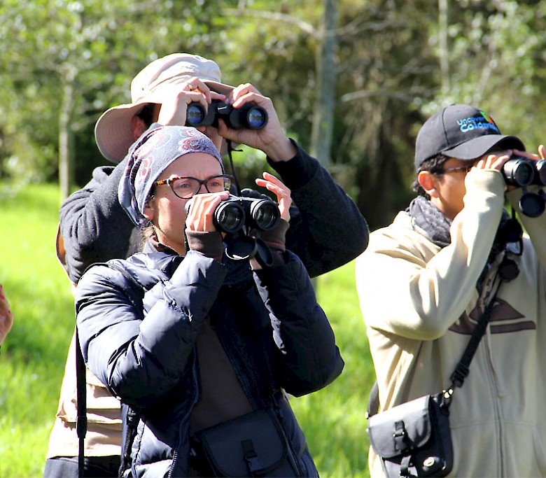 Colombia Birding Tour