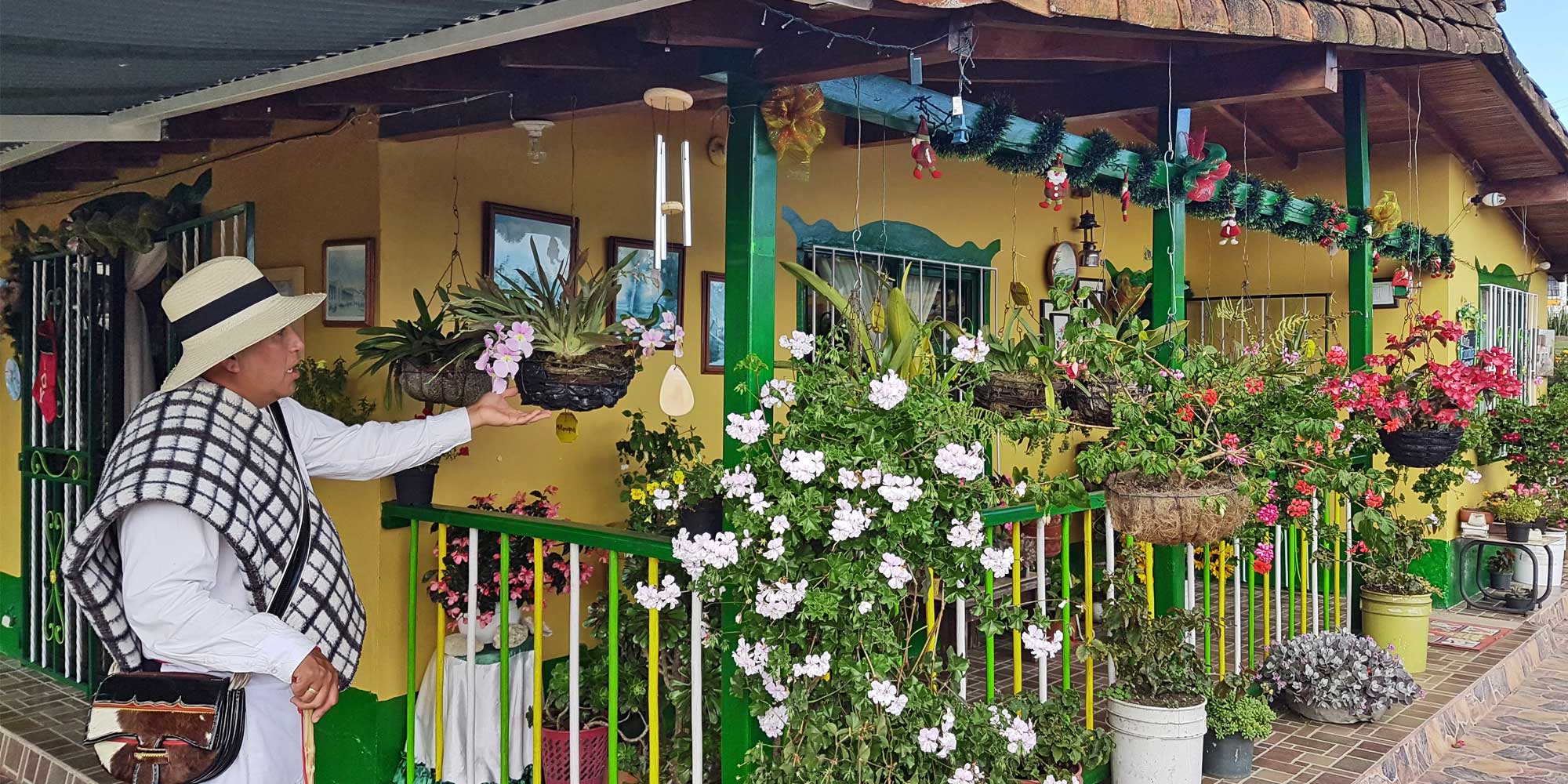 Dat trips from Medellin