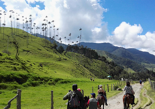 Valle de Cocora