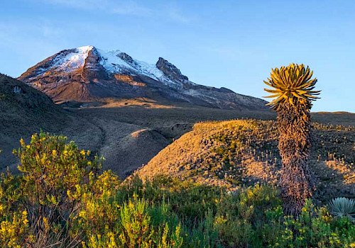 Parque los Nevados, Colombia