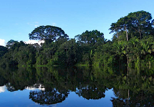 Amacayacu National Park