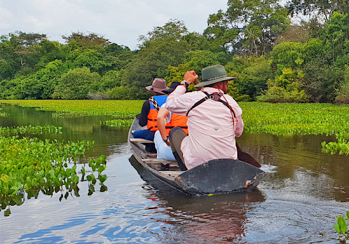 Los LLanos, Colombia
