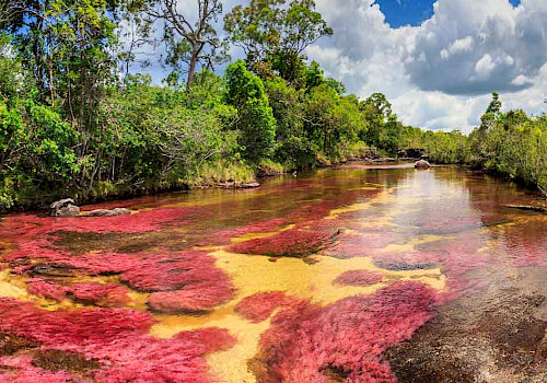 Los LLanos, Colombia