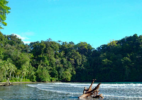 Utria National Park