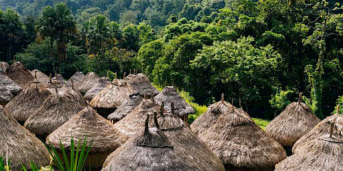 Lost City Trek