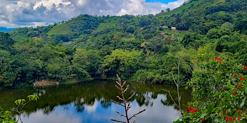 Birding at Laguna El; Tabacal, Colombia