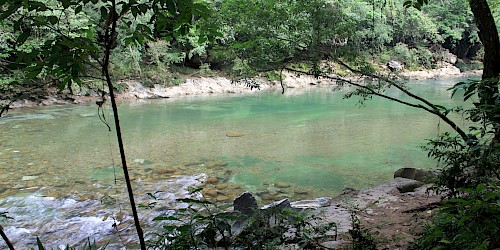 Colombia Birding Tour Rio Claro Reserve