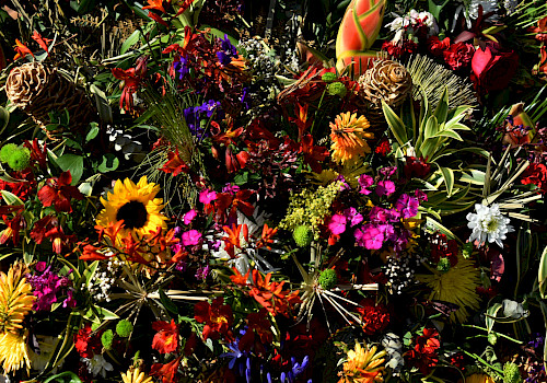 Flowers Festival in Medellin